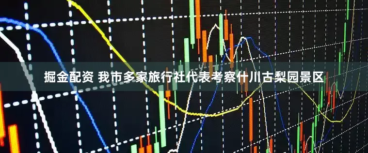 掘金配资 我市多家旅行社代表考察什川古梨园景区